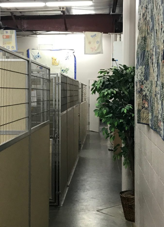 AHBT Kennel Almost Home