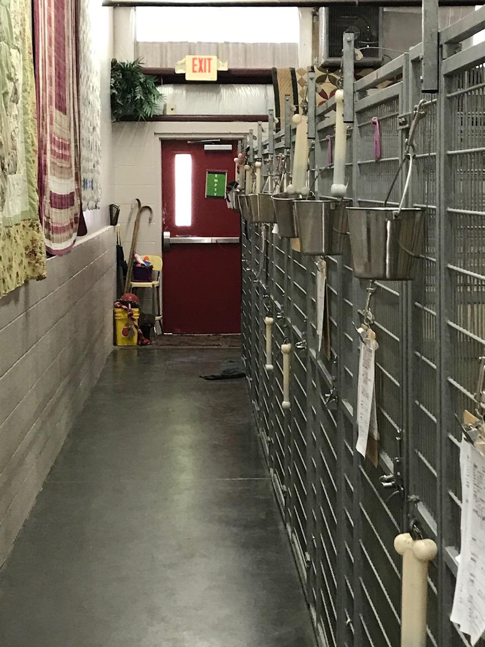 AHBT Kennel2 Almost Home